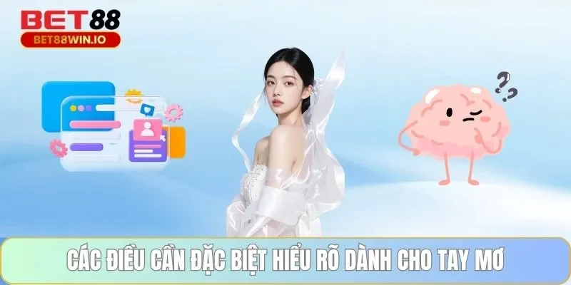Các điều cần đặc biệt hiểu rõ dành cho tay mơ