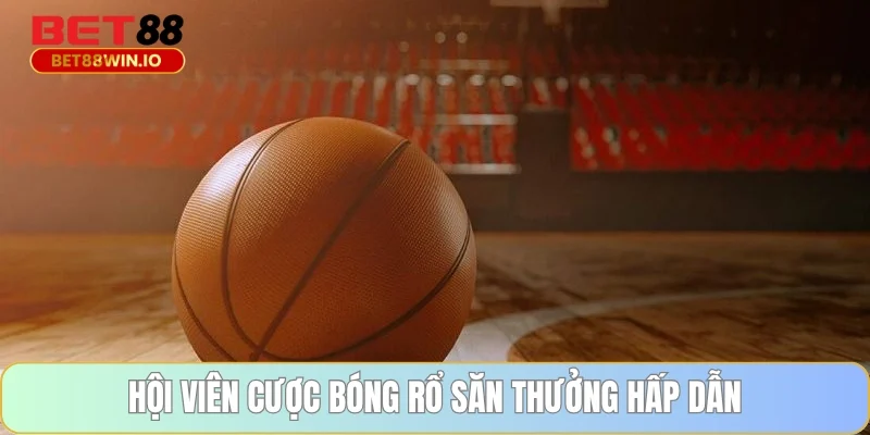 Hội viên cược bóng rổ săn thưởng hấp dẫn Hội viên cược bóng rổ săn thưởng hấp dẫn