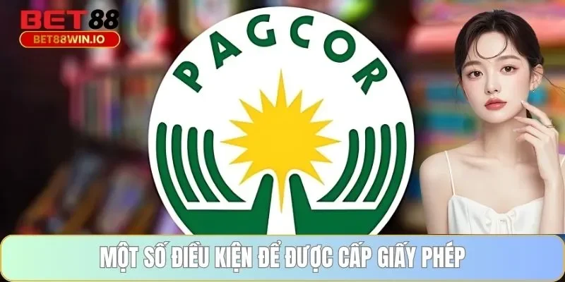 Một số điều kiện để được cấp giấy phép Một số điều kiện để được cấp giấy phép