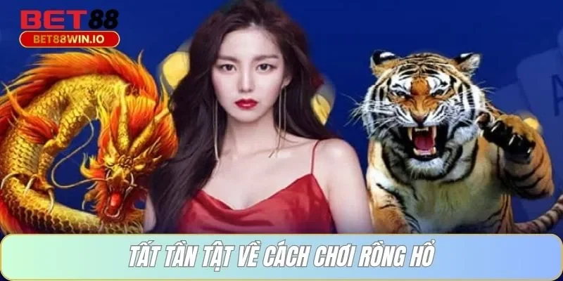Tất tần tật về cách chơi rồng hổ