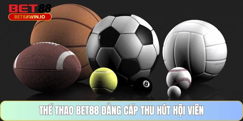 Thể thao BET88 đẳng cấp thu hút hội viên Thể thao BET88 đẳng cấp thu hút hội viên